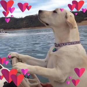 Meet your Posher, Doc